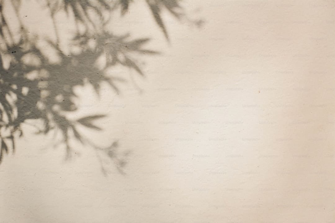 商业头条No.90